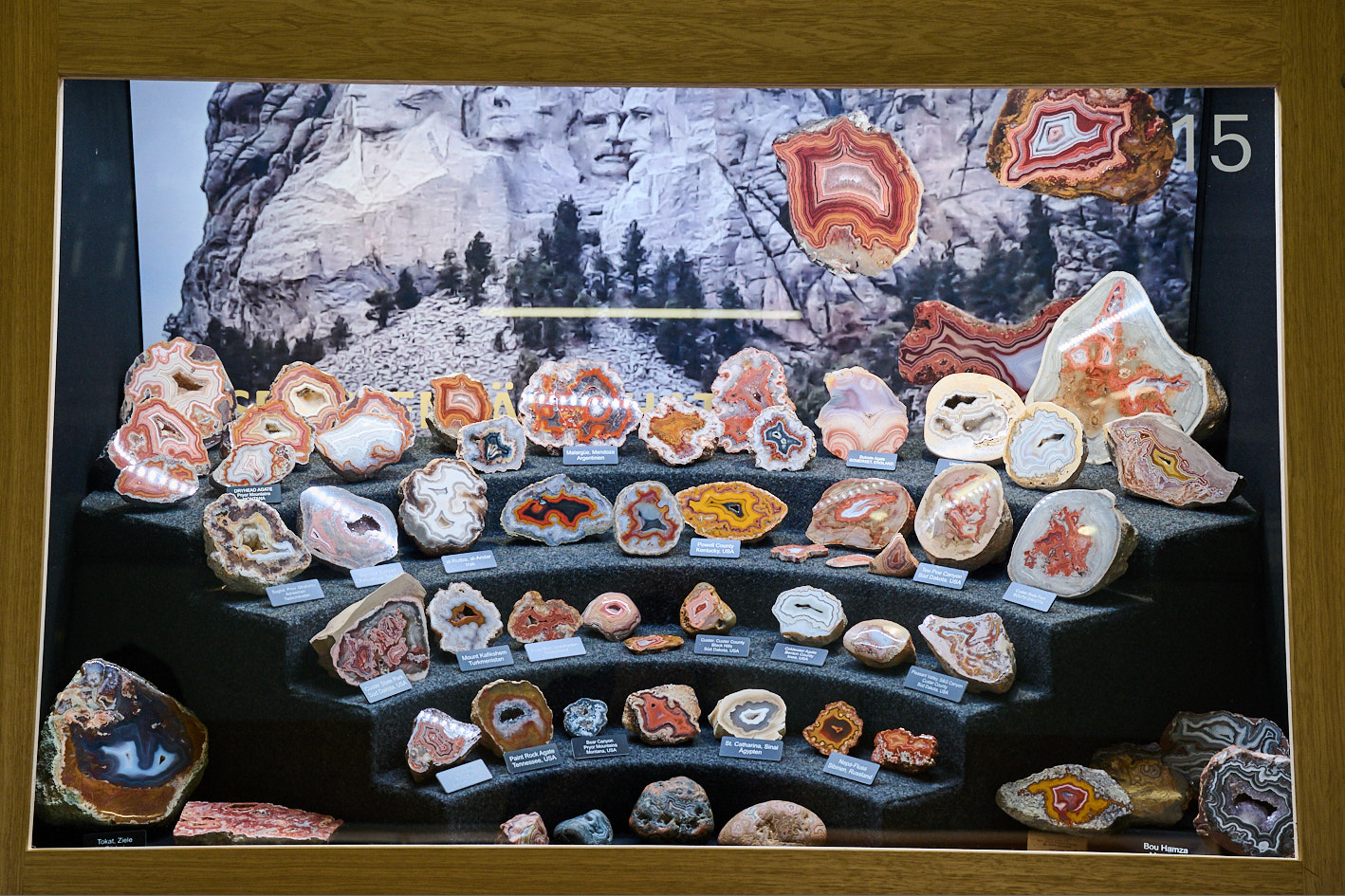 30 years of showcases